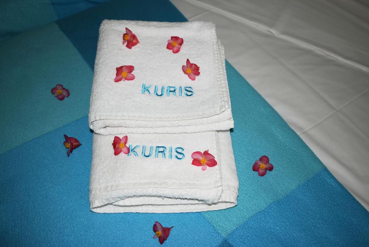 Kuris Studios & Apartments Vasilikí Exteriér fotografie
